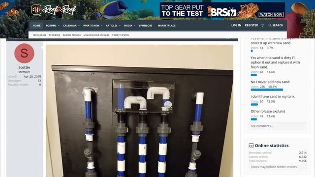 Top Aquarium Sump Mistakes You Don't Want To Make! But Do You Even Need One? смотреть онлайн