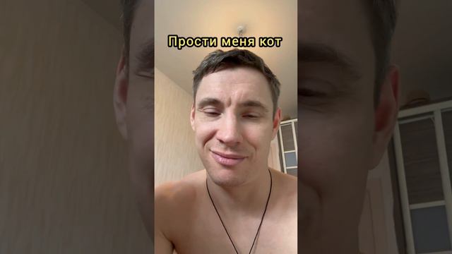 Кот обосрал всю квартиру #кот смотреть онлайн