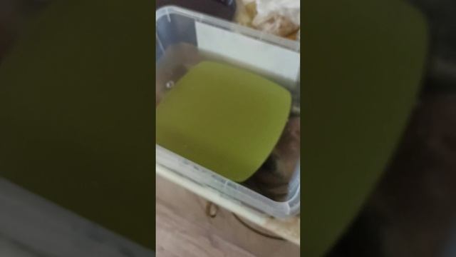 Холодное копчение горбуша,скумбрия ,толстолобик смотреть онлайн