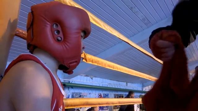 г.Ровеньки турнир по боксу им Алимова Виктора 10-11.01.2015 смотреть онлайн