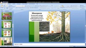 Биология 7 класс 7-8 неделя Царство Грибы