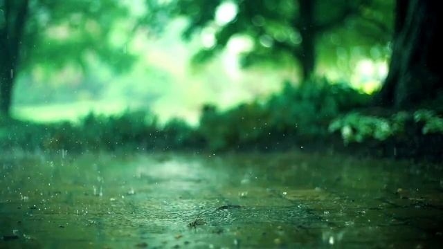 Abdul Rahman Mossad|??Чтение Корана,Под звук дождя,Вытаскивает слезы из каменных сердец. смотреть онлайн