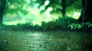 Abdul Rahman Mossad|??Чтение Корана,Под звук дождя,Вытаскивает слезы из каменных сердец.