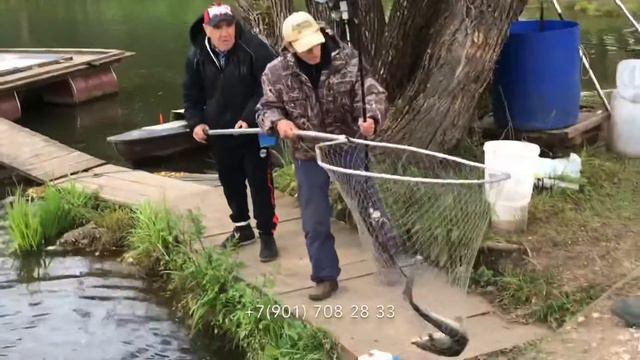 Рыбалка в Тарасовке смотреть онлайн