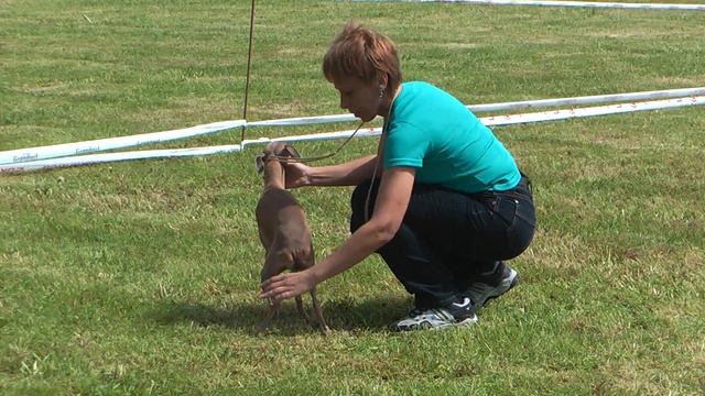 02.06.12 Химки CAC ЧРКФ ЧФ(РФОС) смотреть онлайн