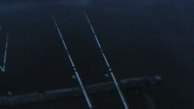 Рыбалка в Лосево !!! видео №118 смотреть онлайн