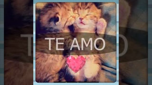 Te amo m vida S.M.S.L ♥ смотреть онлайн