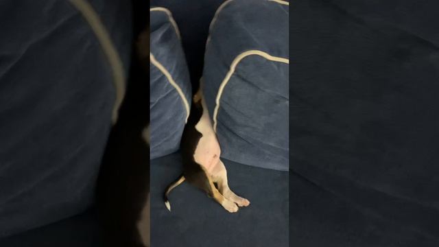 VARDY-time. Варди-тайм.