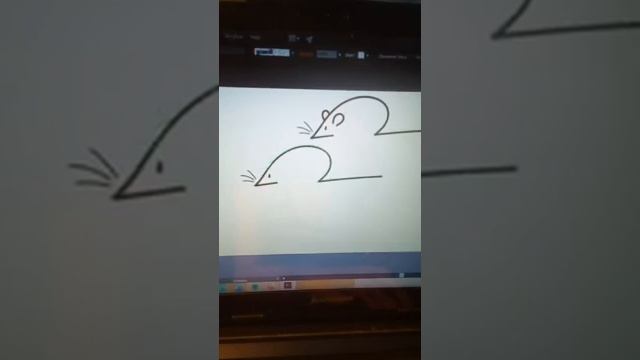 Второй эфир в инстаграме "Рисуем всех зверей на свете. Бегемот, бурундук и другие звери. смотреть онлайн