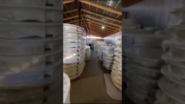 Мебель стиль классика и модерн. смотреть онлайн