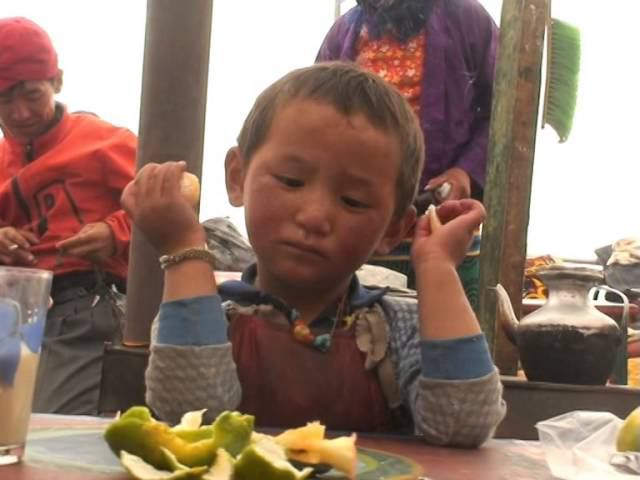 Марат Сафин. Восхождение на Чо-Ойю с Клубом 7 Вершин. Фильм Юрия Белойвана. смотреть онлайн