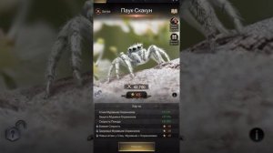 The Ants. Underground kingdom. Улучшение дикого существа азартным путём