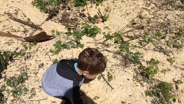 Опилки-играем на улице!