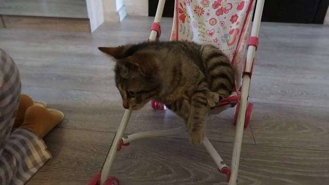 VLOG 96 Парки: Drapetsona Park, Andreas Papandreou Park ДР Эрики #влогизгреции смотреть онлайн