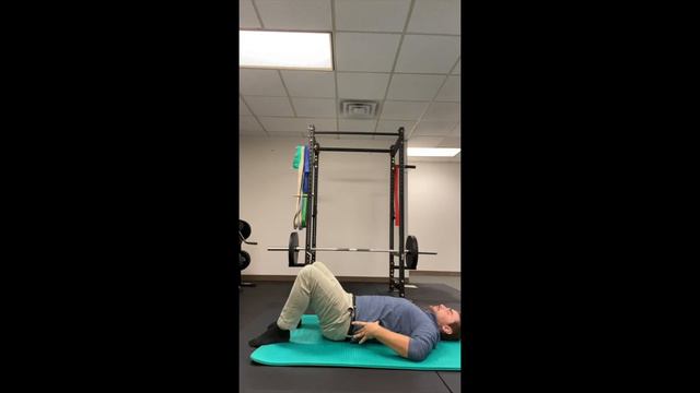 Park Ridge Chiropractor | 2 Simple Exercises For With Low Back Pain | Mobility And Stability Tips # смотреть онлайн