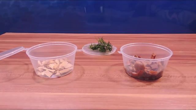 Тепличка для аквариумного мха. смотреть онлайн