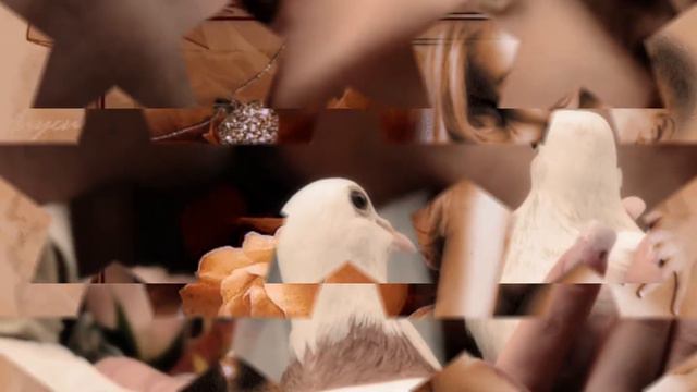 для тебя любимый ♥ смотреть онлайн