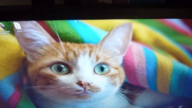 Viewsonic VP2365wb angle of view - angle de vision смотреть онлайн