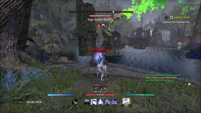 🤔Harpooner's Wading Kilt Is It Worth It? | ESO Blackwood | Elder Scrolls Online смотреть онлайн