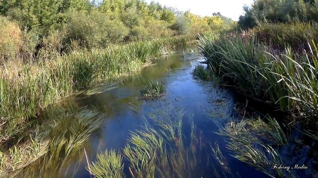 Рыбалка сплавом по малой реке. Ловля щуки. Река Бузулук. Рыбалка на воблеры. смотреть онлайн