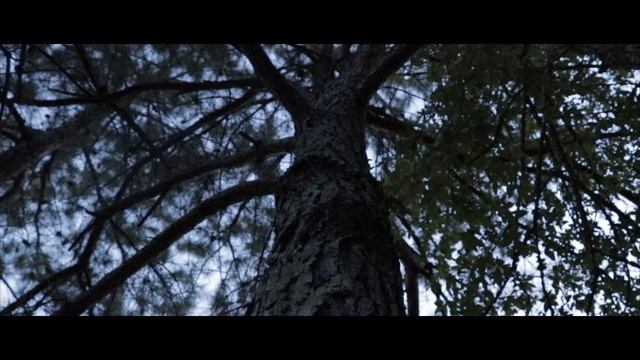 Canon EOS 80D Video Test