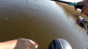 Весенний жерех  Кренки, вибы, джиг  #OnlySpin