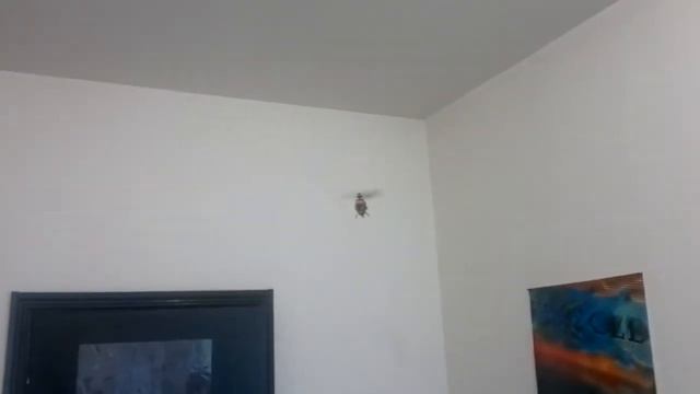 WL V-911There is no rotation of the tail (xieda engine) смотреть онлайн