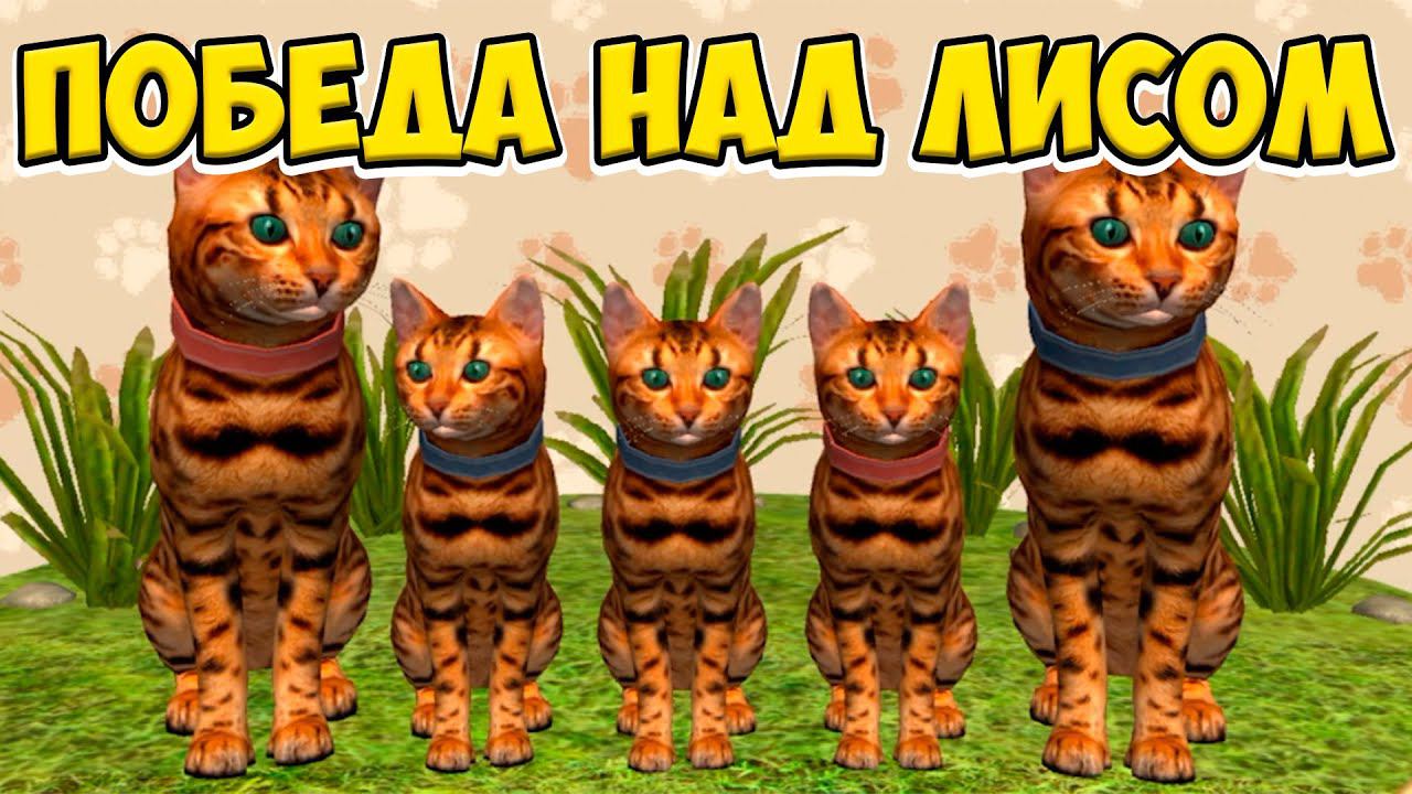 Симулятор КОТА и КОШКИПобедила ЛИСУ Cat Sim (кат сим)