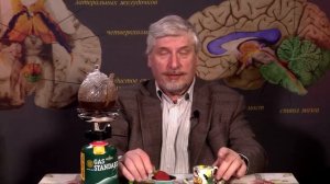 С. Савельев. Мышление после смерти