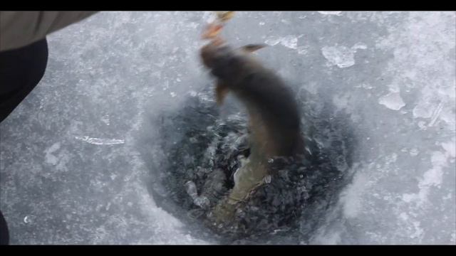 Поездка BigFishClub на плато Путорана в мае '21-го - короткая версия смотреть онлайн