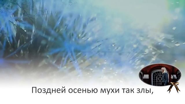 "Мухи как мысли" смотреть онлайн