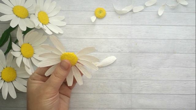 Ромашки из бумаги / Diy paper Daisy (Bellis perennis) смотреть онлайн