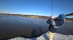 Весенняя раздача рыбы / Рыбалка в Новосибирске!