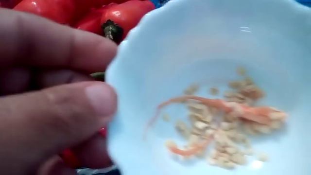 248 - Time and method to collect seeds of ACHARI MIRCH (Chili's for pickle) Hindi-Urdu - 16/1/17 смотреть онлайн
