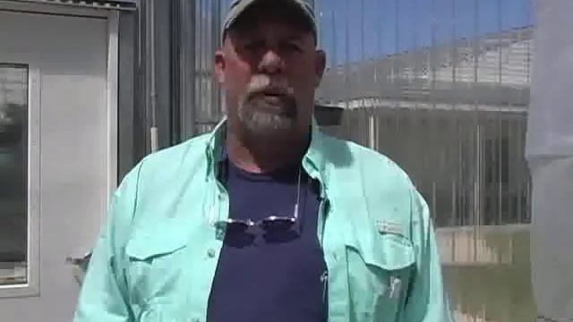 Head Orchid Grower David Baskin смотреть онлайн