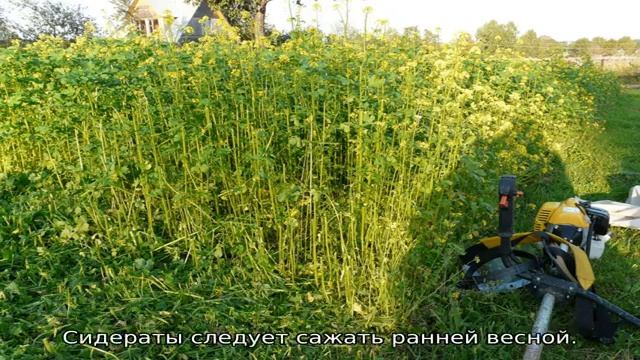 Что класть в лунку при посадке огурцов смотреть онлайн