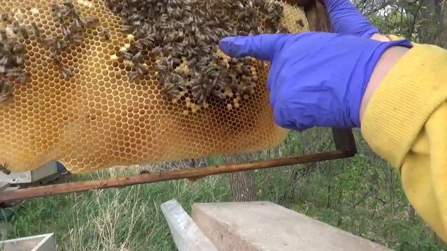 Состояние сильной ср семьи на 29 мая 2021.Часть первая. смотреть онлайн