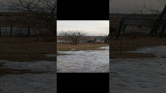 Житие́ мое́)