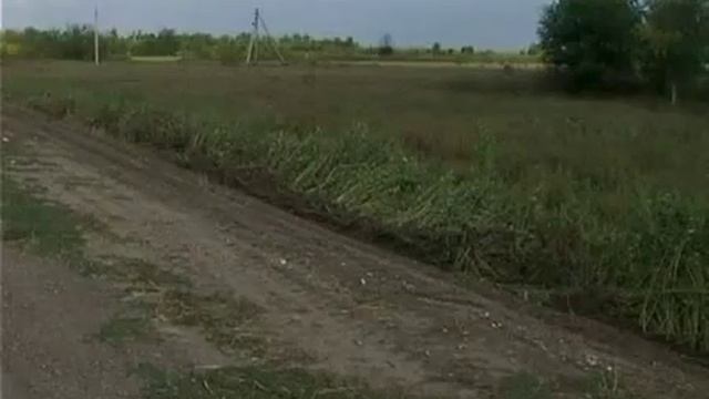 Уничтожение нежелательной растительности смотреть онлайн