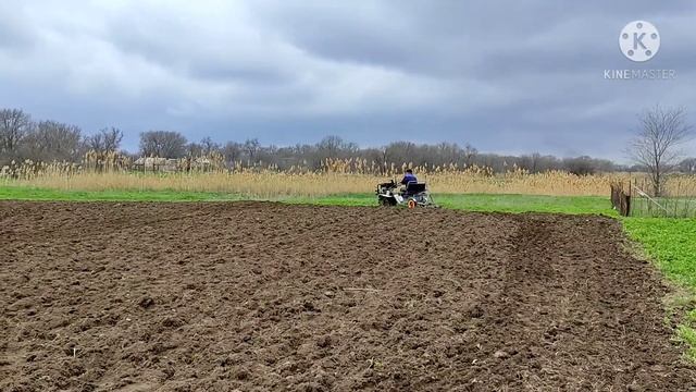 ‼️Сажаем люцерну , обрабатываем почву под люцерну‼️ смотреть онлайн