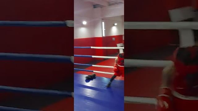 Тренировочный пррцесс БОКСЕРСКИЙ КЛУБ ТАПДЫГА АЛЕСКЕРОВА (1) смотреть онлайн