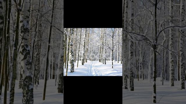 Первый день зимы! смотреть онлайн