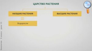 Биология 5 класс (Урок№13 - Характеристика царства Растения. Водоросли и лишайники.)