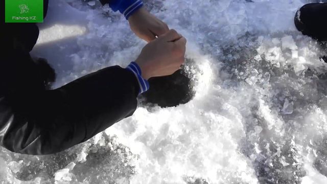 Жерлицы. Нура. КАЗАХСТАН. смотреть онлайн