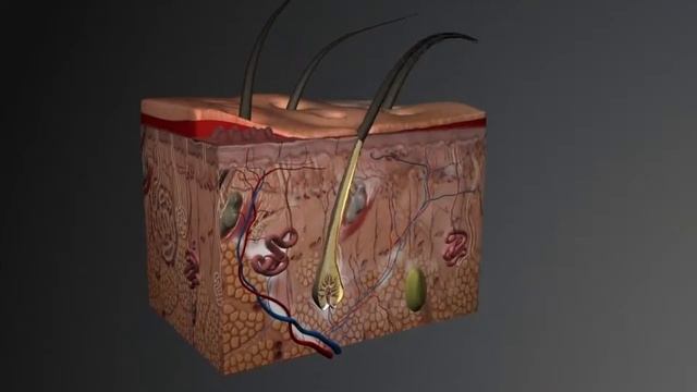 Cynosure RevLite SI лазер для удаления татуировок