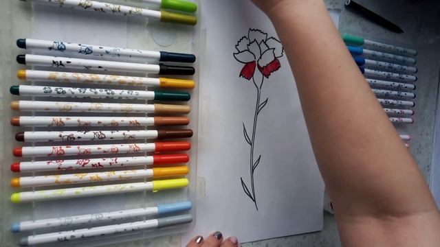 СтройКамера