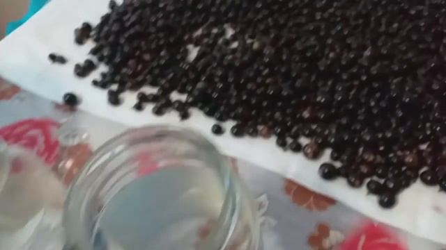 Как сварить концентрированный компот на зиму. смотреть онлайн