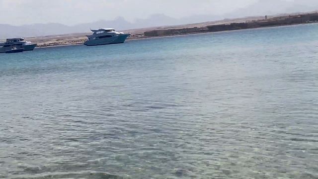 Косяк рыб на пляже Андалуза. смотреть онлайн