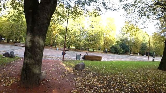 Калининград. Осень на острове Канта. Красивое видео. смотреть онлайн