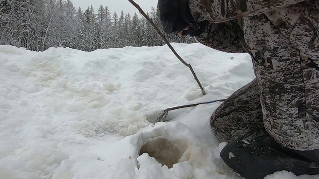 Поехал порыбачить и НАРЫБАЧИЛ ! Крупная сорога на мормышку. смотреть онлайн